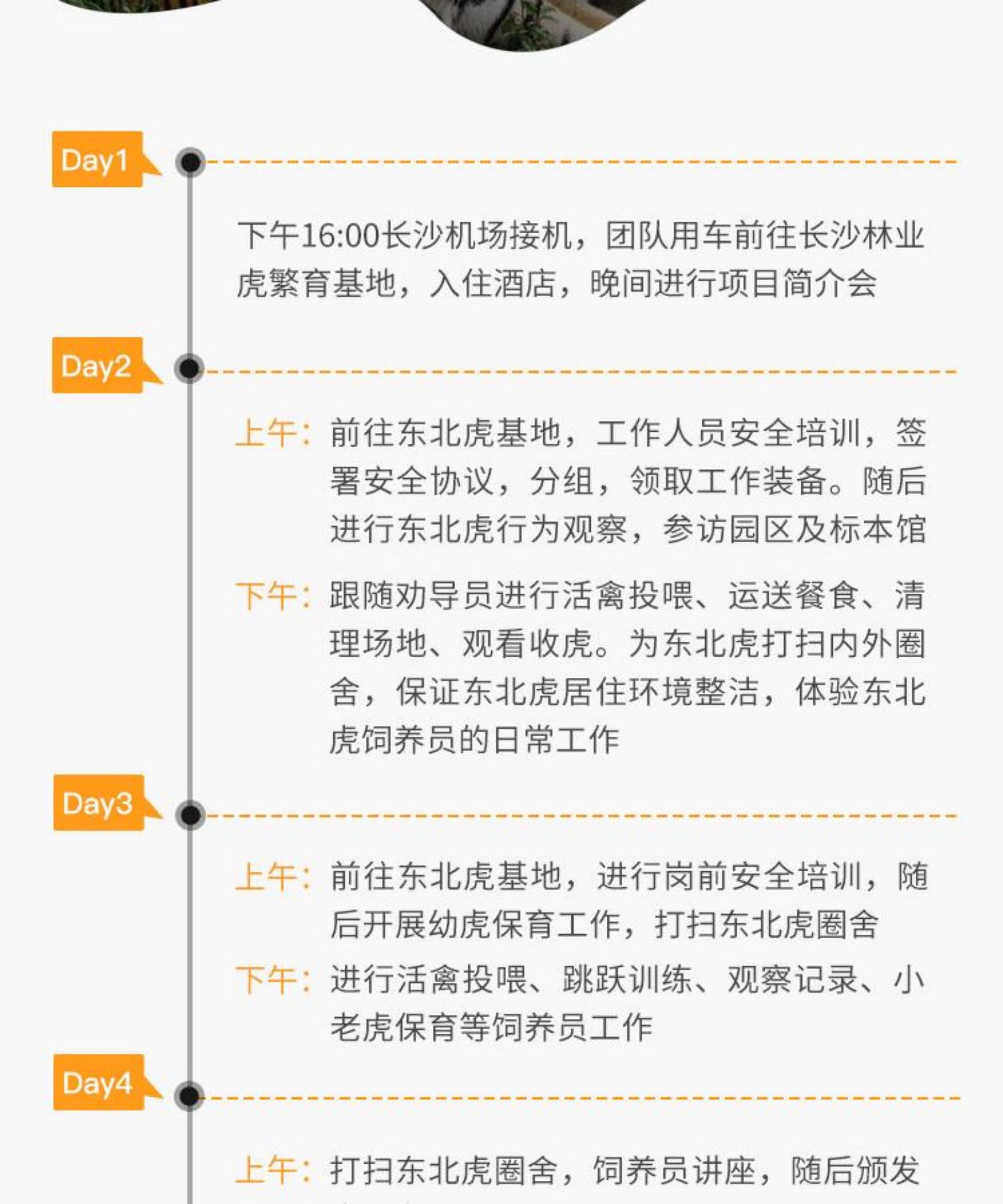 湖南长沙5天4晚，动物保育，我们一直在行动！